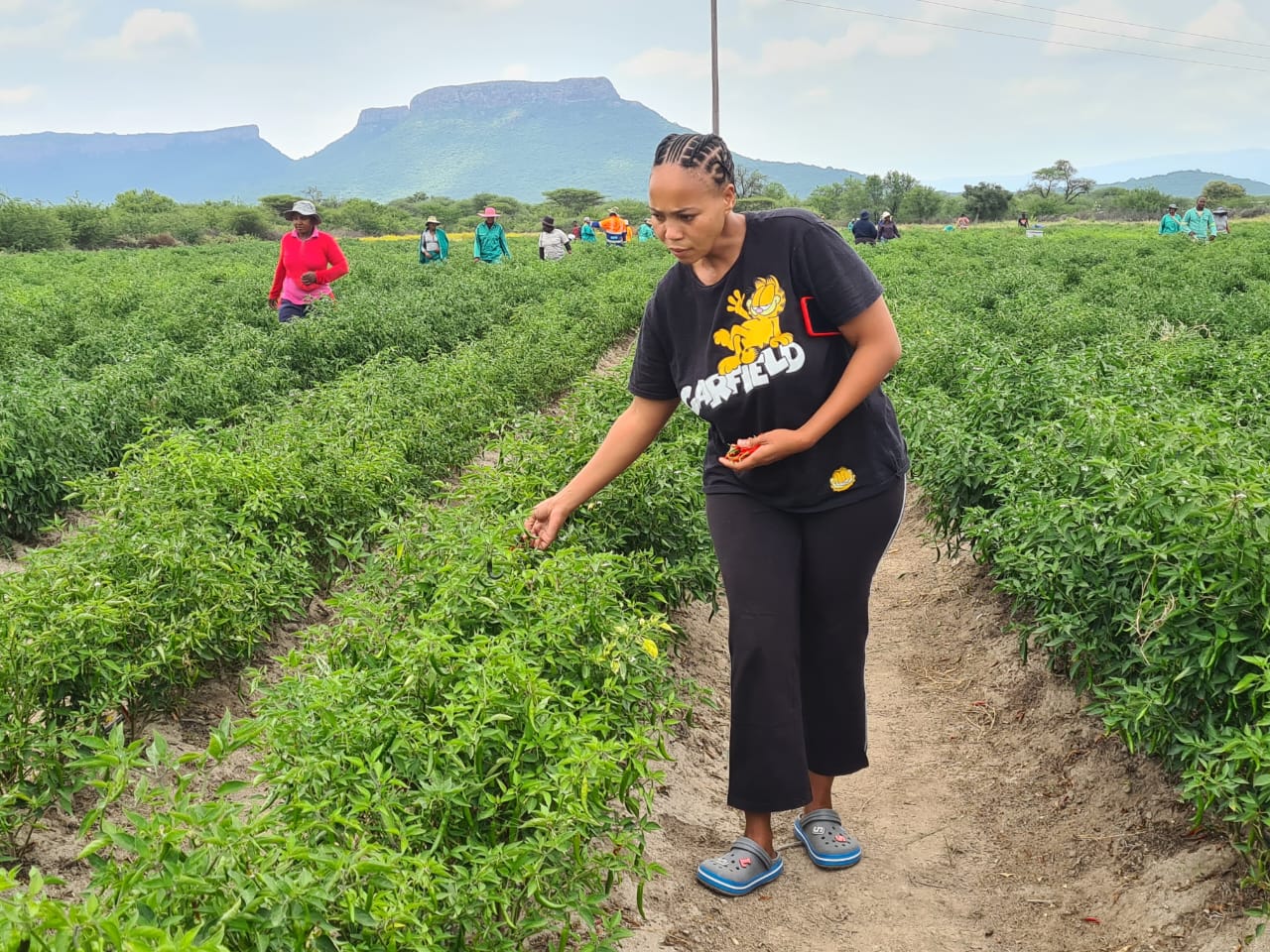 YOUTH AGRIPRENEUR BOOSTS FARMING