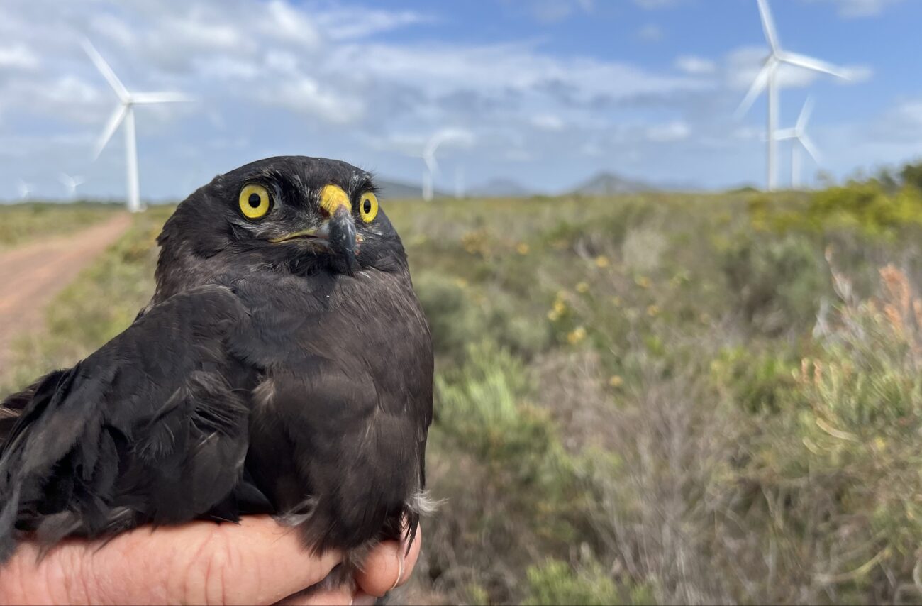 LEADING THE WAY IN CONSERVATION EFFORTS