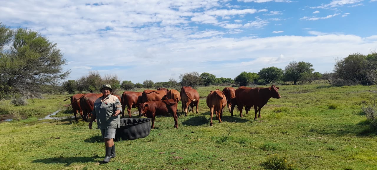 FEMALE FARMER ENTERS COMMERCIAL MARKET