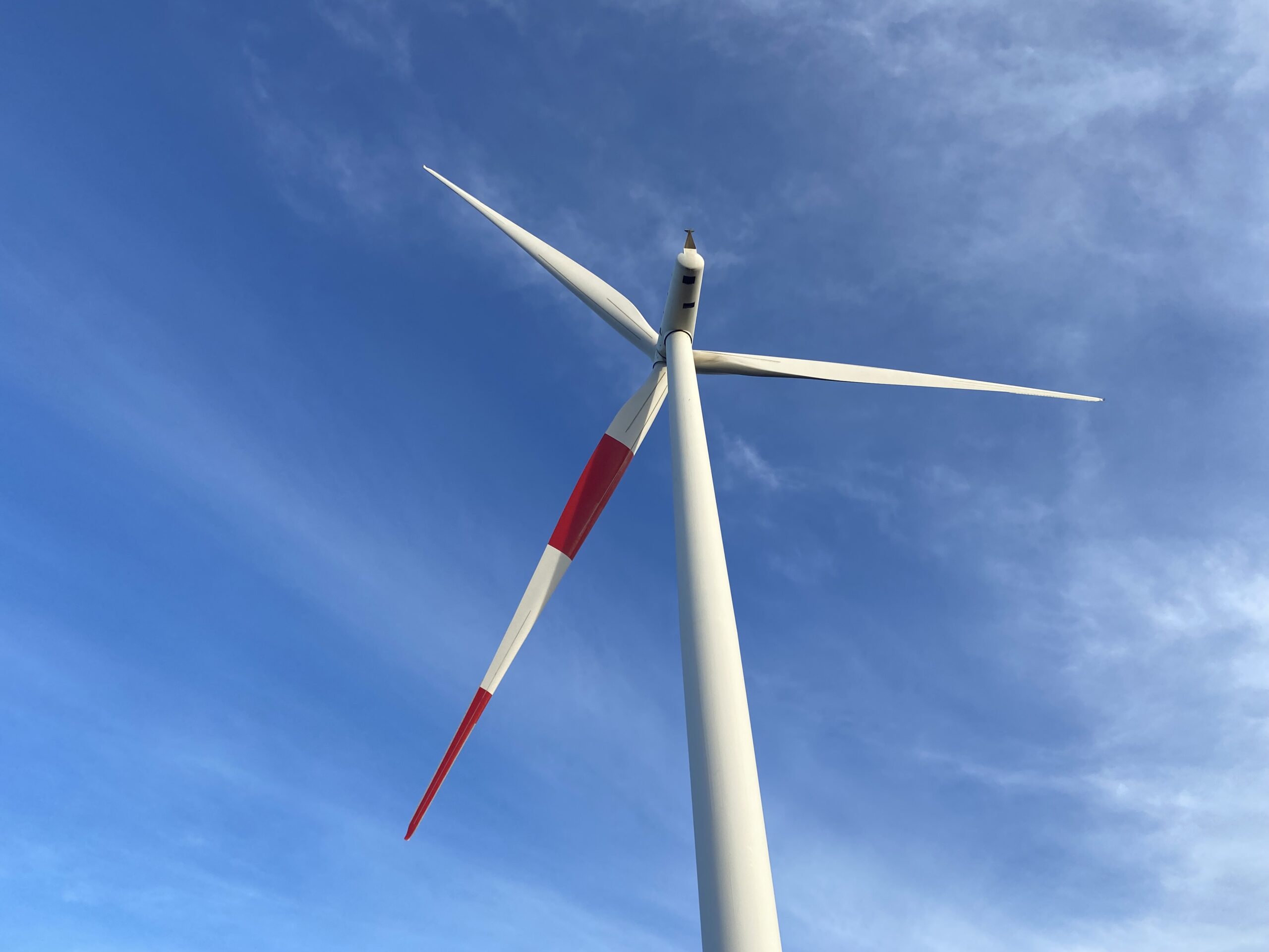 BLADE PAINTING PROTECT PRIORITY BIRD SPECIES