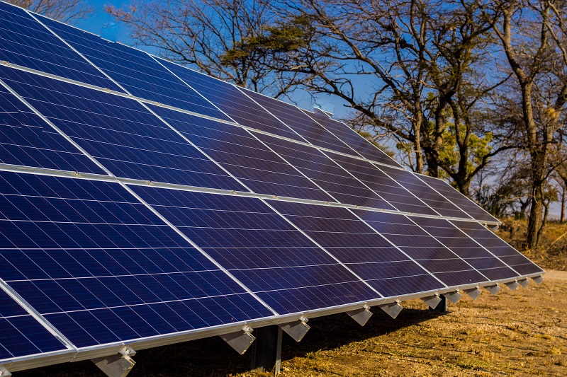 BIODIVERSITY TARGETS ACHIEVED