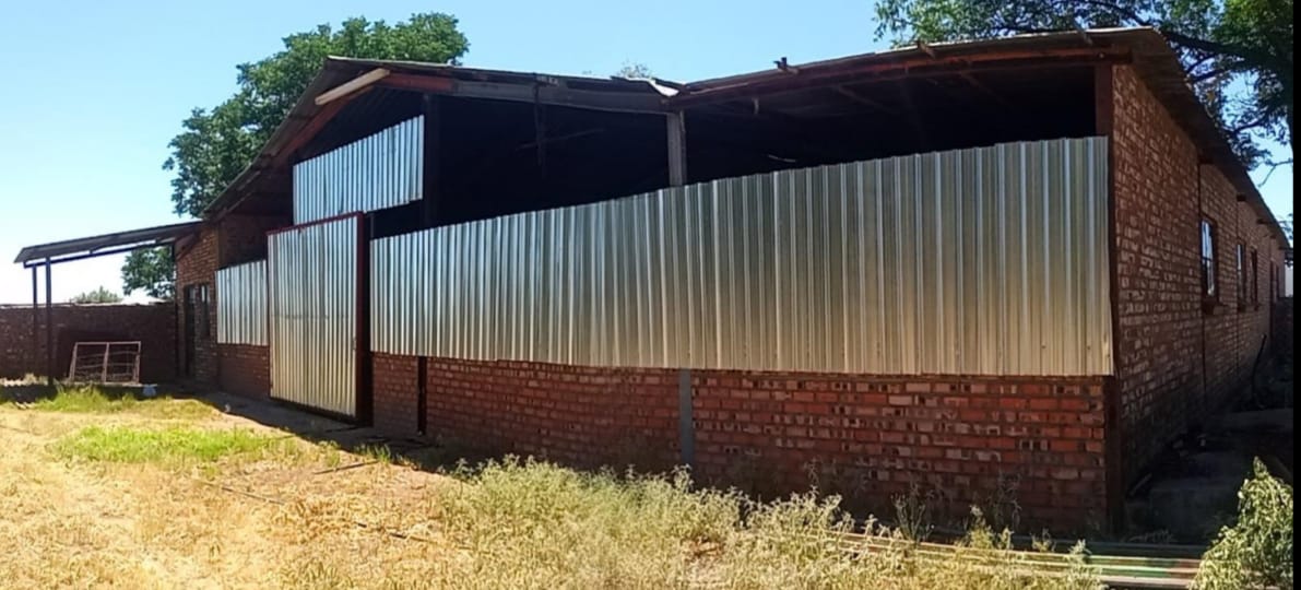 LOCAL LAMBING ENDEAVOR RECEIVES VITAL BOOST